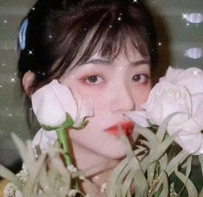 试播