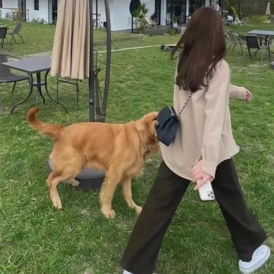 奔跑吧·共同富裕篇